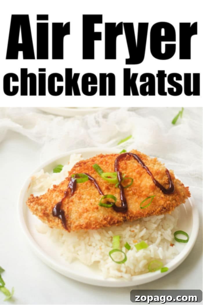 Air Fryer Chicken Katsu 10 Air Fryer Chicken Katsu recipe served with rice, garnished with green onions and sauce.