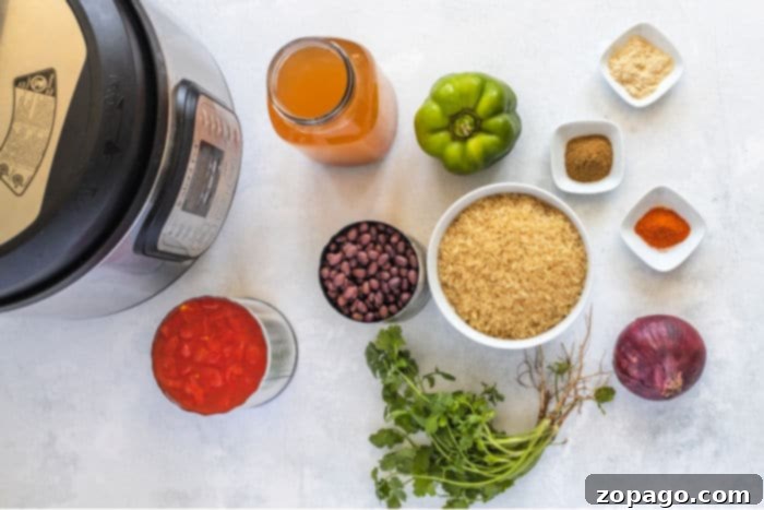 Easy Instant Pot Black Beans and Rice 3 Close-up of homemade Black Beans and Rice, showing texture and ingredients.