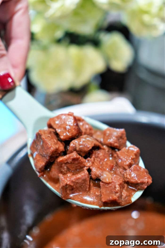 Easy Instant Pot Frozen Stew Meat 2 Tender and juicy Instant Pot frozen stew meat with thick gravy