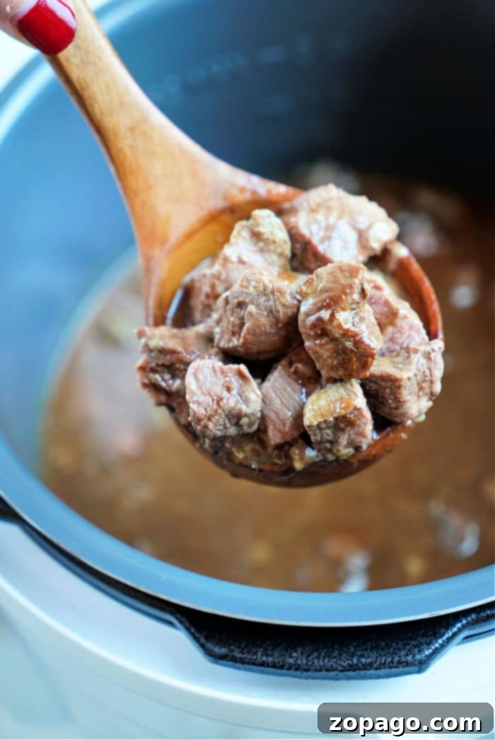 Easy Instant Pot Frozen Stew Meat 7 Tender stew meat in rich gravy, ready to serve