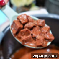 Close-up of a spoon holding chunks of stewed beef from an Instant Pot in rich brown sauce above a steaming pot.