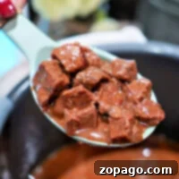 Easy Instant Pot Frozen Stew Meat 6 Close-up of a spoon holding chunks of stewed beef from an Instant Pot in rich brown sauce above a steaming pot.