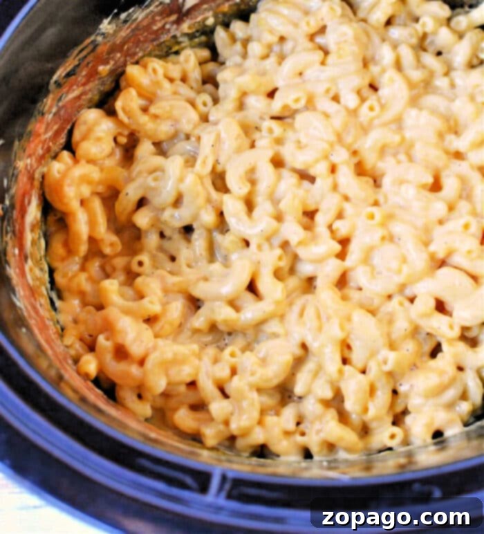 Ultimate Slow Cooker Mac and Cheese 2 Creamy Crockpot Macaroni and Cheese with Evaporated Milk
