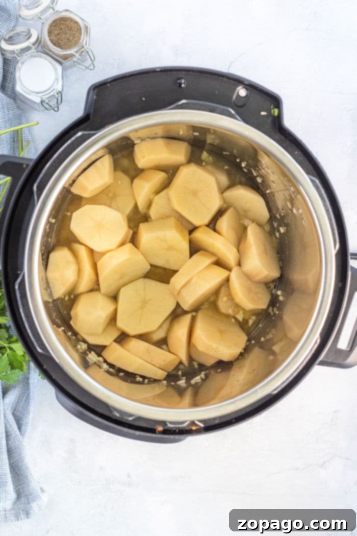garlic mashed potatoes instant pot