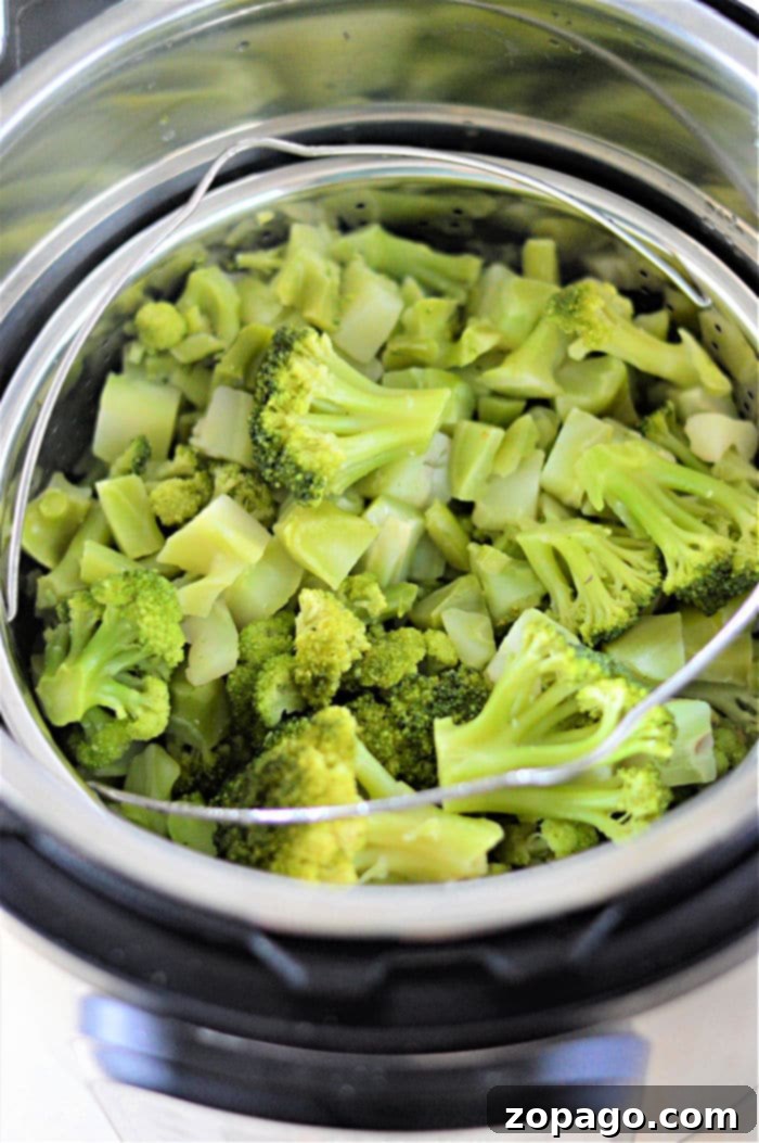 Instant Pot Frozen Broccoli 6 Steamed broccoli florets, fresh out of the Instant Pot