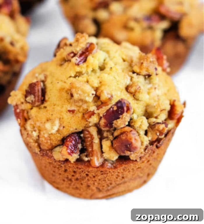 Spiced Sweet Potato Muffins 2 Deliciously spiced cinnamon sweet potato muffins with a crumb topping, garnished with whole pecans.