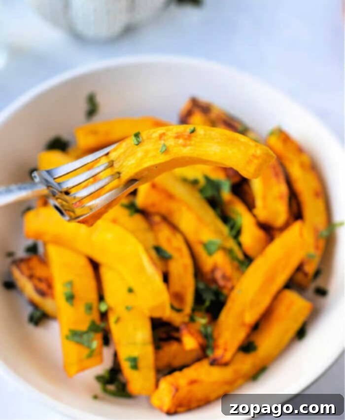 Crispy Air Fryer Pumpkin Fries 2 Golden-brown air fryer pumpkin slices arranged beautifully on a plate, ready to be enjoyed as a vegetarian side dish or snack.