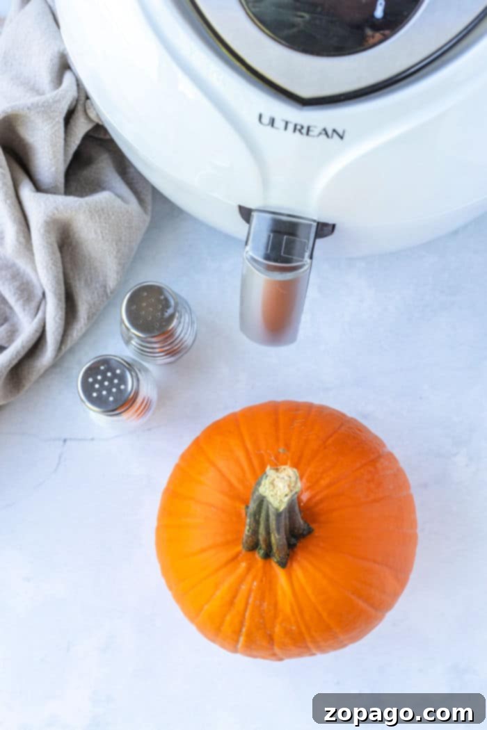 Crispy Air Fryer Pumpkin Fries 4 Close-up of a small, vibrant orange pumpkin, ideal for air frying and culinary preparations.