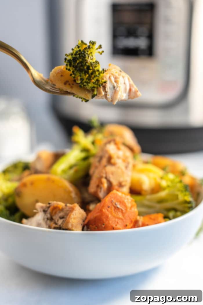 Speedy Instant Pot Chicken and Garden Vegetables 2 Delicious Instant Pot Chicken and Vegetables meal served in a bowl, ready to eat.