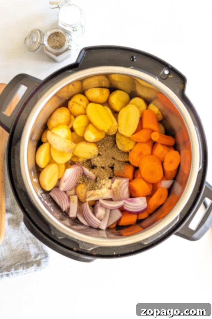 Speedy Instant Pot Chicken and Garden Vegetables 5 Overhead view of seasoned chicken and fresh vegetables in the Instant Pot, ready for cooking.