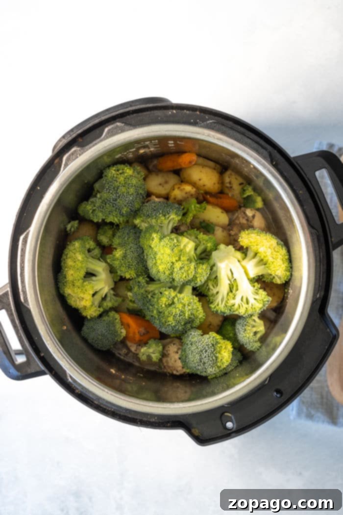 Speedy Instant Pot Chicken and Garden Vegetables 6 A bowl of freshly cooked pressure cooker chicken and vegetables, steaming and ready to enjoy.