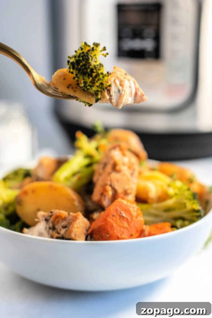 Speedy Instant Pot Chicken and Garden Vegetables 9 A generously portioned bowl of Instant Pot Chicken and Vegetables, garnished with fresh herbs, ready to be enjoyed.