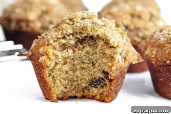 Wholesome Oat & Raisin Delights 7 Raisin oat Muffins