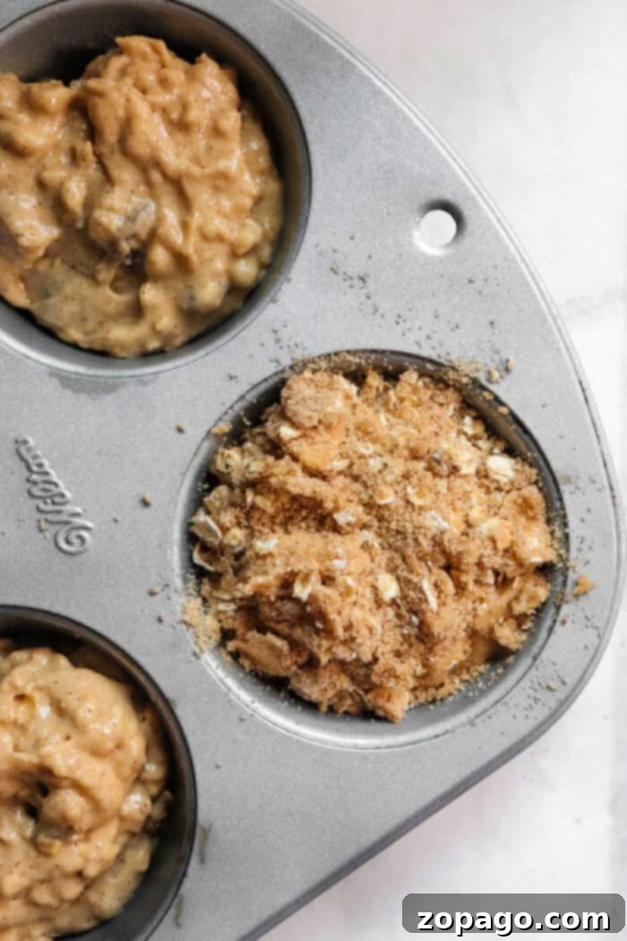 Wholesome Oat & Raisin Delights 8 Oatmeal Raisin Muffins with Honey