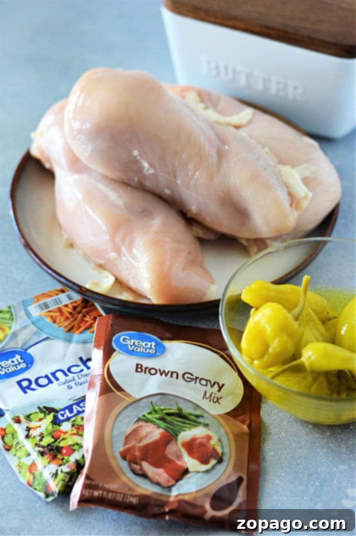 Quick and Easy Instant Pot Mississippi Chicken 3 Close-up of shredded Mississippi Chicken ready to serve.