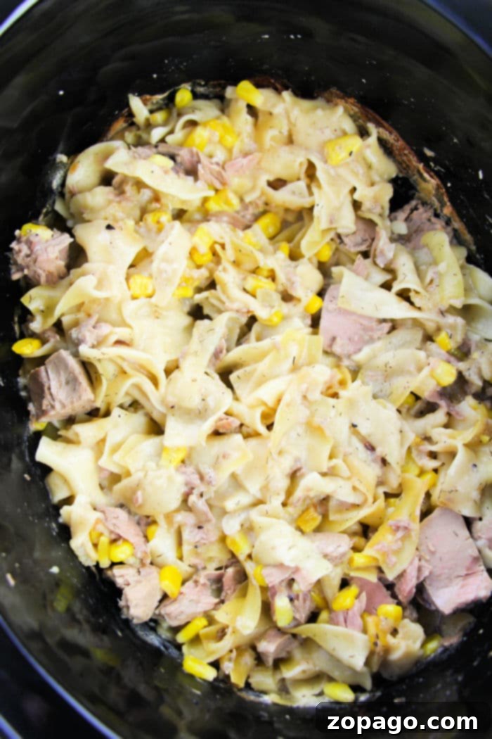 Slow Cooker Tuna Noodle Bake 7 Close-up of a serving of Crockpot Tuna Noodle Casserole with a crispy topping and melted cheese.