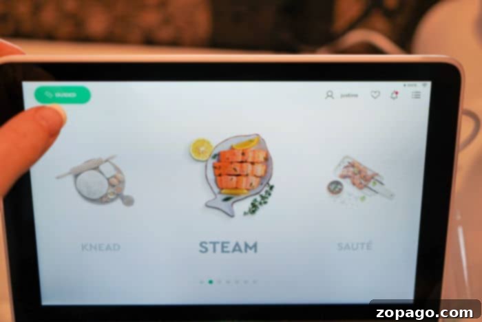 Multo CookingPal 10 Function Review 6 cooking pal modes