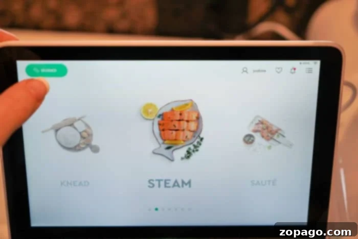 Multo CookingPal Review The 10 Function Kitchen Powerhouse 6 CookingPal Manual Mode Selection