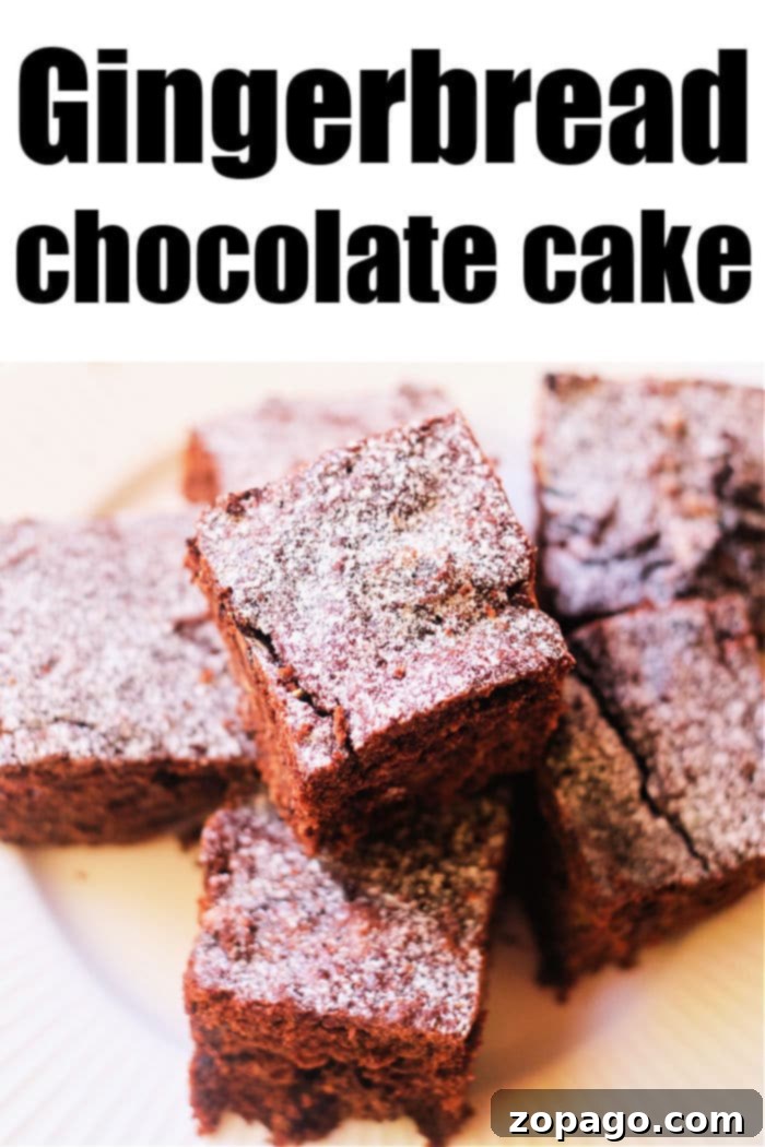 Decadent Chocolate Gingerbread Cake 2 Chocolate Gingerbread Cake recipe, a delicious Christmas dessert idea that everyone loves.