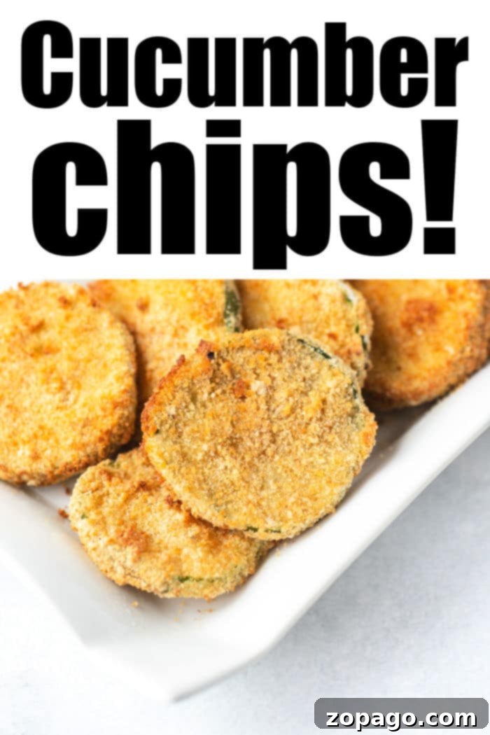 Air Fryer Cucumber Crisps 9 A close-up of a perfectly fried cucumber chip, showing its golden-brown breading.
