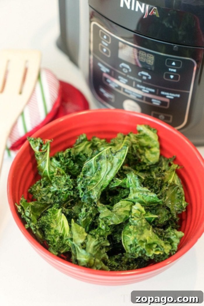 Crispy Air Fryer Bites 3 ninja foodi kale chips