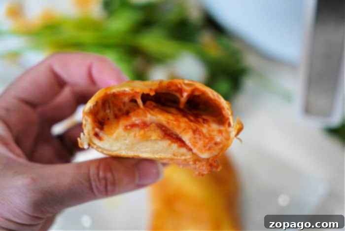 Crispy Air Fryer Bites 6 pizza hot pocket