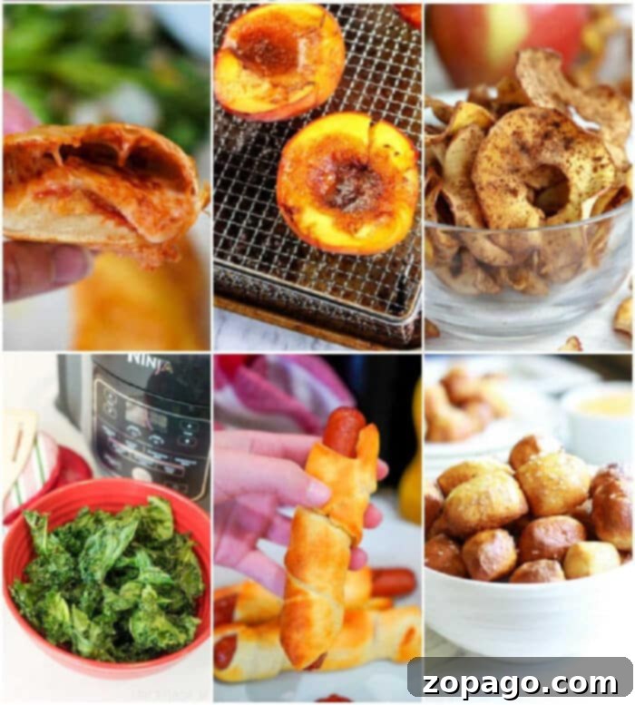 Crispy Air Fryer Bites 7 snacks-in-air-fryer