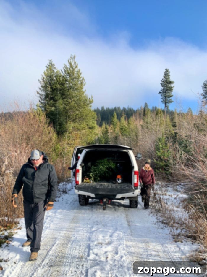 DIY Christmas Tree: From Axe to Adornment 3 Child holding an Every Kid Outdoors pass in front of a scenic forest, representing free park access and Christmas trees