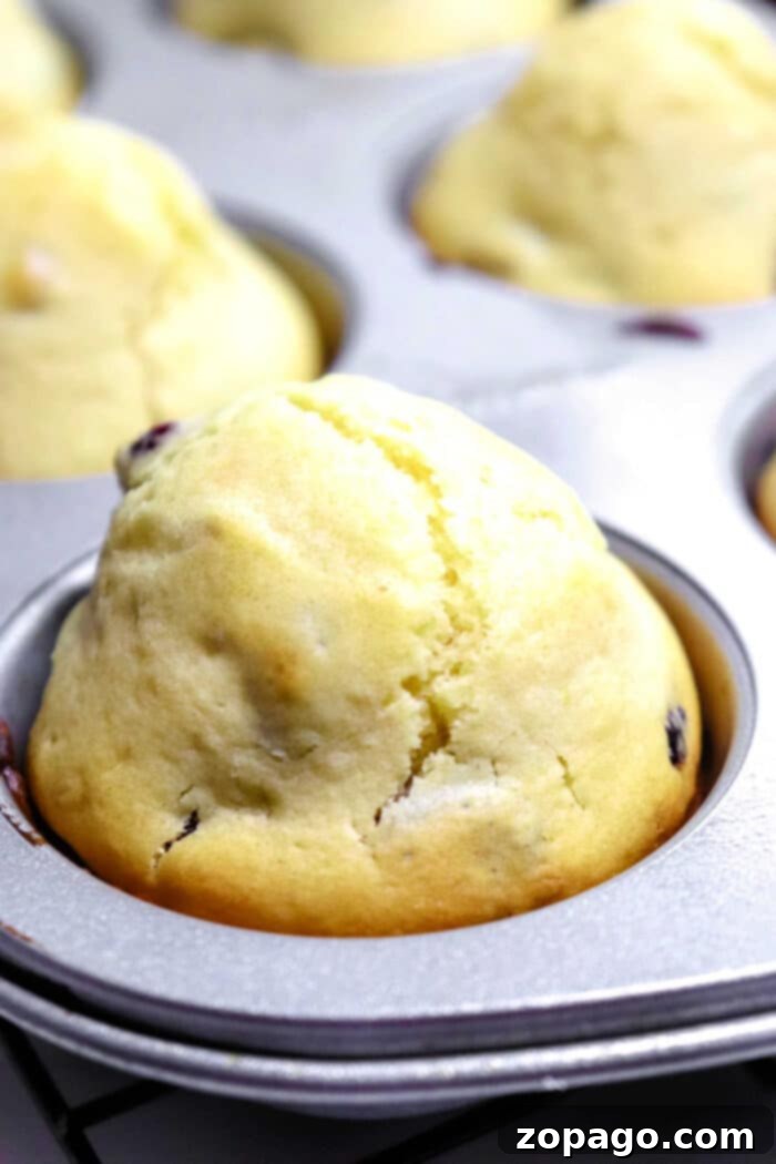 healthy cranberry muffins