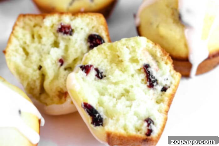 Moist Cranberry Yogurt Muffins 8 Orange Muffins