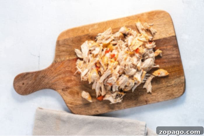 Spicy Chicken Fajita Soup 4 Close-up of shredded chicken, perfectly cooked and ready for a delicious recipe like fajita soup.