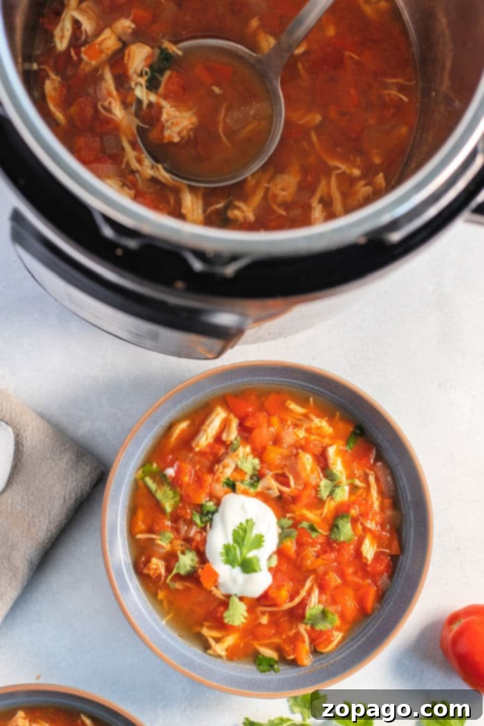 Spicy Chicken Fajita Soup 5 A bowl of Ninja Foodi Fajita Soup, garnished with fresh cilantro and a lime wedge, highlighting its vibrant ingredients.