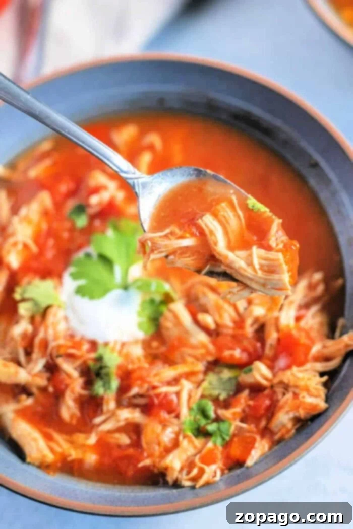 Spicy Chicken Fajita Soup 7 A bowl of chicken fajita soup with cilantro evokes the hearty flavors of fajita soup, as a spoon lifts a savory portion.