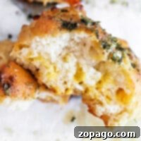 Copycat Cheddar Bay Biscuits with Bisquick 7 Cheddar Biscuits