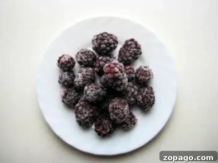 Easy 5 Ingredient Bisquick Blackberry Cobbler 4 A white plate holding a small pile of frozen blackberries, ready for making a delicious blackberry cobbler, centered on a light background.