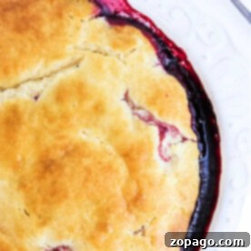 Easy 5 Ingredient Bisquick Blackberry Cobbler 8 Close-up of a Bisquick blackberry cobbler with a golden crust and berry filling oozing at the edges, placed on a white plate.