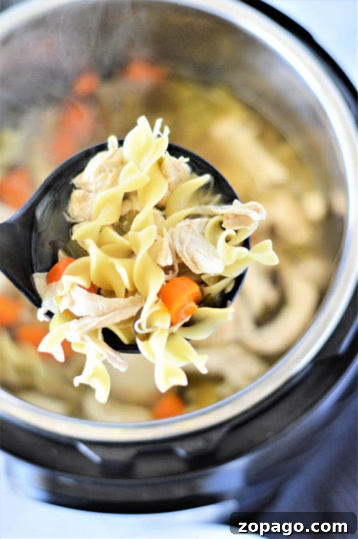Instant Pot Chicken Noodle Soup Straight from the Freezer 2 Instant Pot Frozen Chicken Noodle Soup - a hearty and healthy one-pot comfort meal ready in minutes.