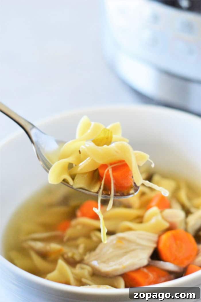 Instant Pot Chicken Noodle Soup Straight from the Freezer 10 A comforting bowl of Instant Pot Chicken Noodle Soup with frozen chicken, garnished with fresh herbs, ready to be enjoyed by the family.
