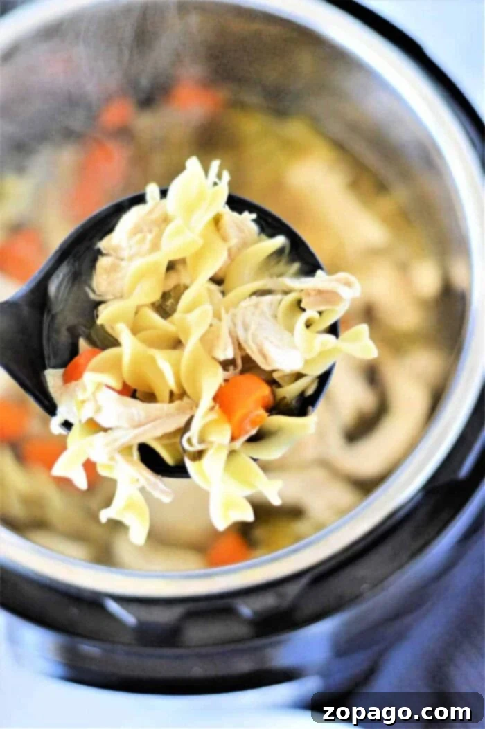 Instant Pot Chicken Noodle Soup Straight from the Freezer 11 A steaming bowl of pressure-cooker frozen chicken noodle soup, a perfect quick meal, topped with fresh greens.