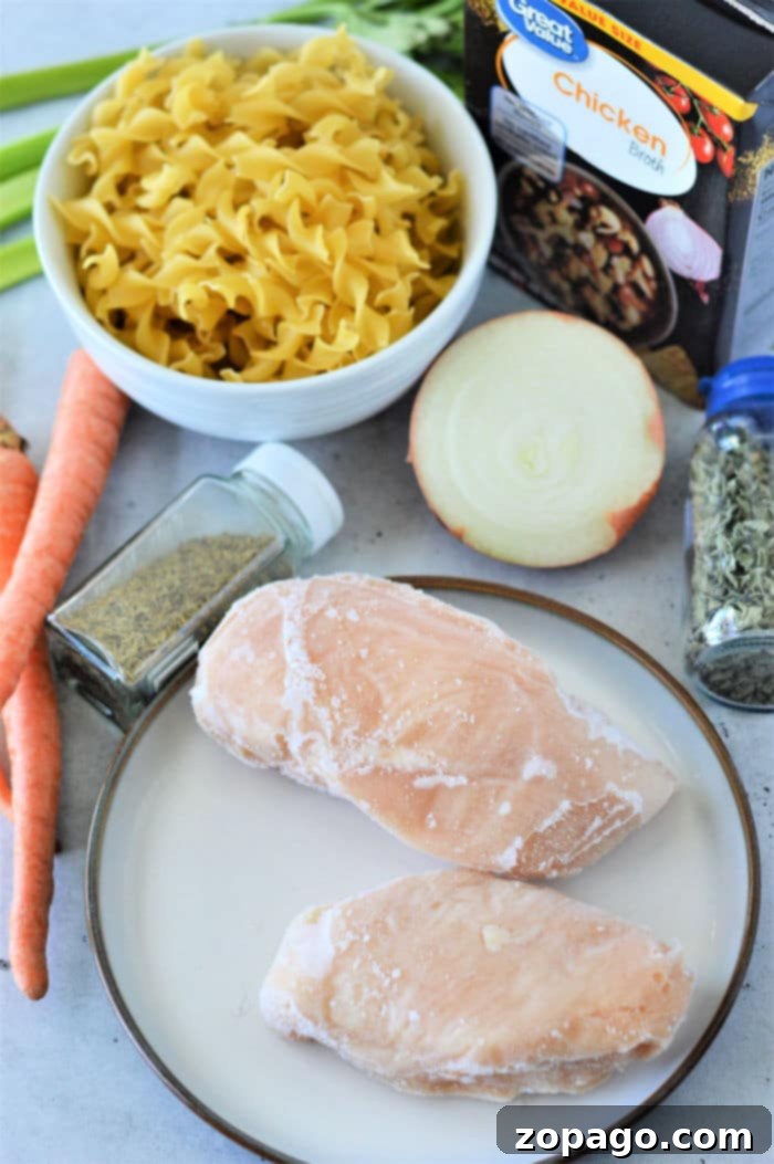 Instant Pot Chicken Noodle Soup Straight from the Freezer 3 Chicken Noodle Soup with Frozen Chicken - a quick and hearty meal from your pressure cooker, perfect for family dinners.