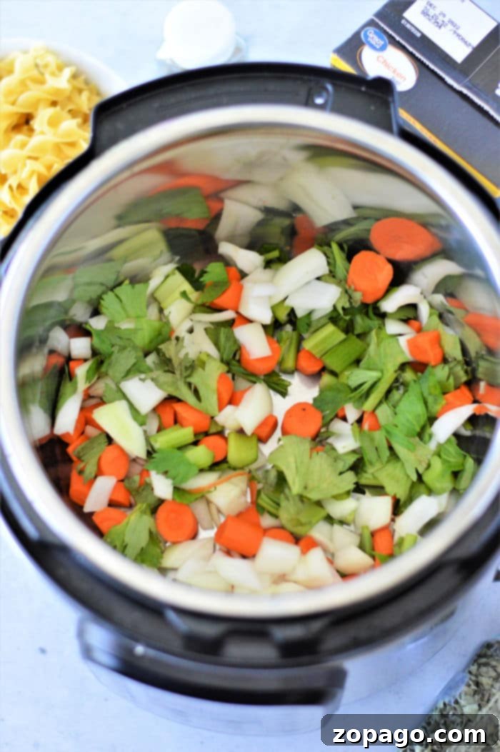 Instant Pot Chicken Noodle Soup Straight from the Freezer 4 A vibrant mix of fresh carrots, celery, and onions, ready for the Instant Pot chicken noodle soup.