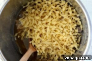 A pot of uncooked egg noodles with a wooden spoon rests in a savory broth, ready to transform into a comforting dish.