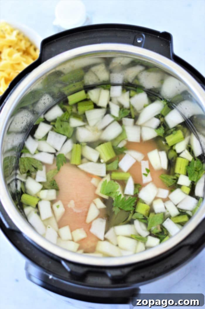 Instant Pot Chicken Noodle Soup Straight from the Freezer 9 Pressure cooker chicken noodle soup with frozen chicken, vibrant with fresh vegetables and herbs, ready for serving.