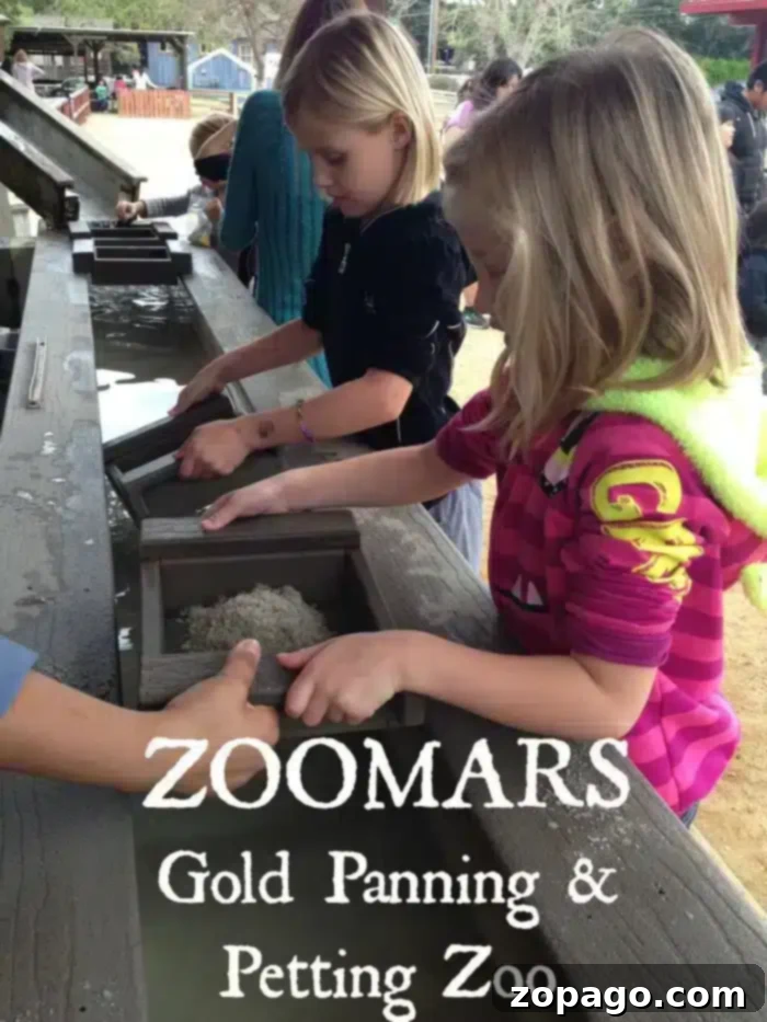 Zoomars Petting Zoo A Petting Paradise 2 Zoomars Petting Zoo Review: Fun for Families in San Juan Capistrano