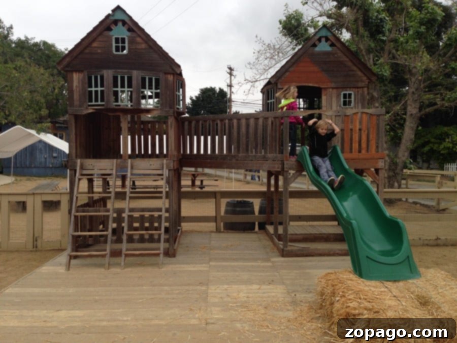 Zoomars Petting Zoo A Petting Paradise 4 IMG_2964: Family Fun at Zoomars Petting Zoo