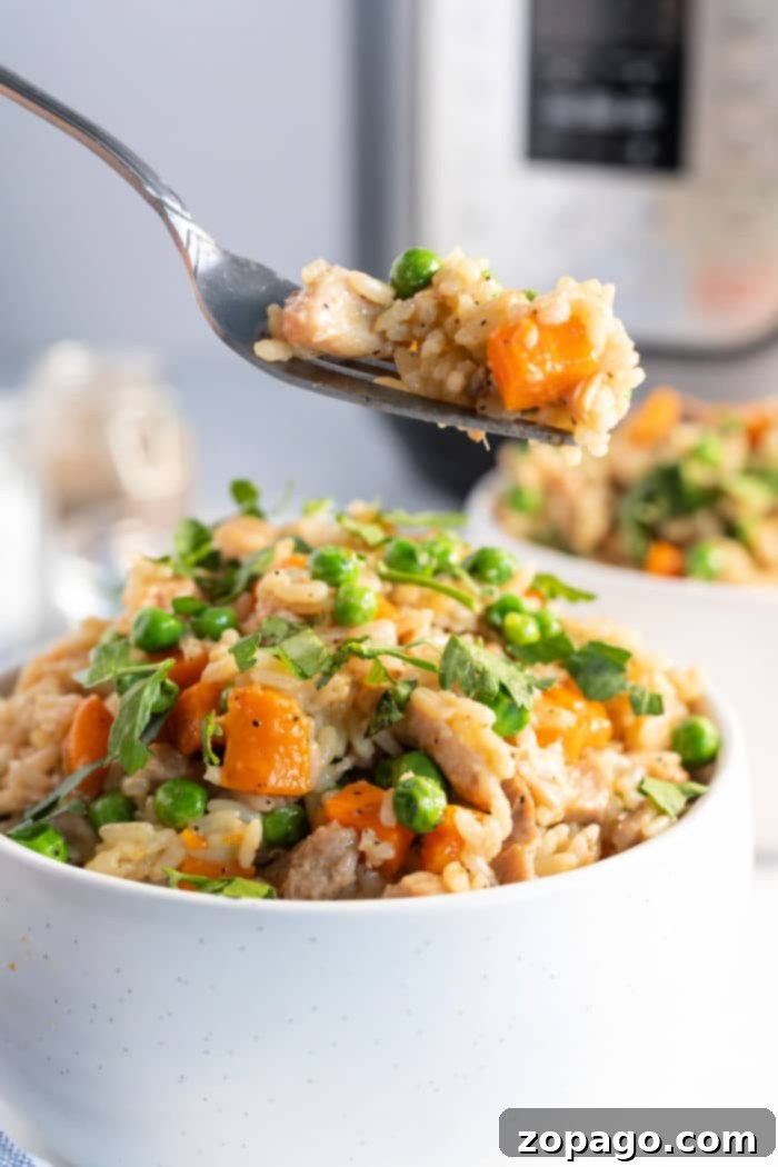 A dish of Ninja Foodi Chicken Thighs and Rice, beautifully cooked and ready to eat, with a sprinkle of fresh herbs.