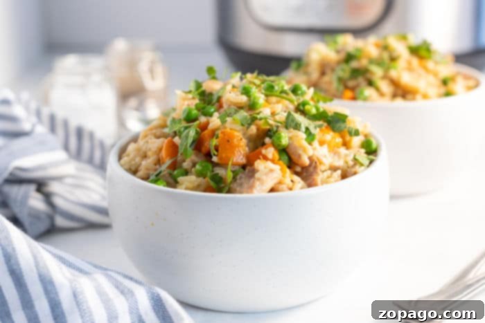 Savory Instant Pot Chicken Thighs and Rice 7 chicken and rice in ninja foodi