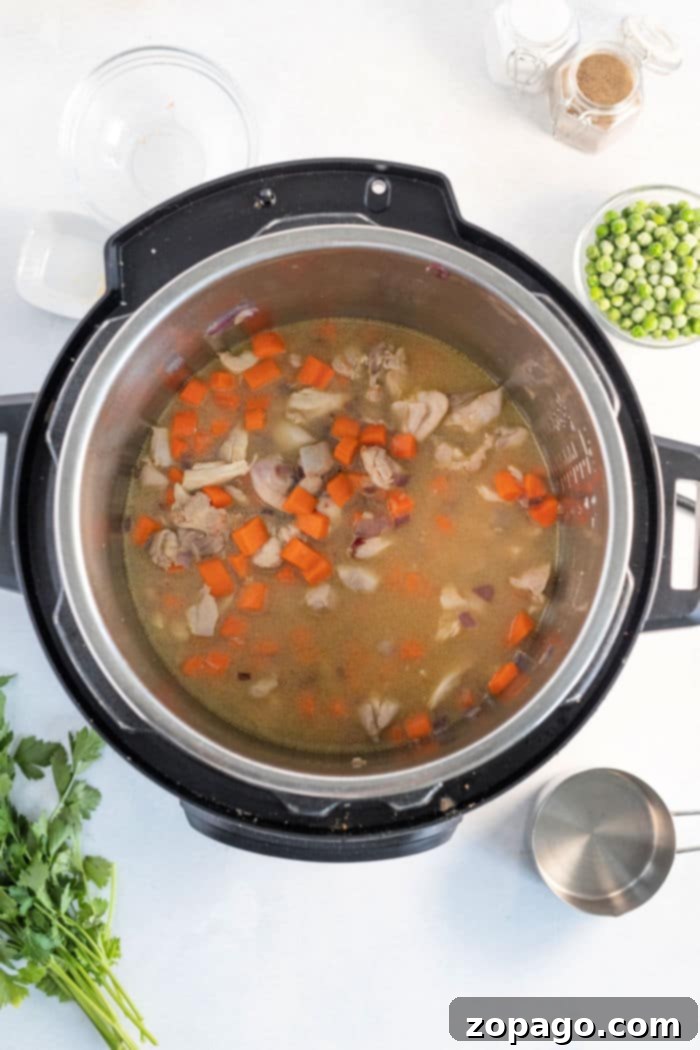 Savory Instant Pot Chicken Thighs and Rice 8 chicken thighs rice instant pot