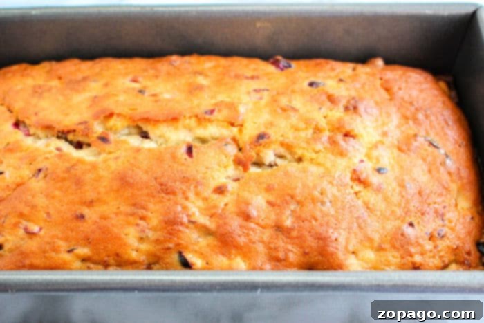 Moist Banana Cranberry Loaf 5 Cranberry bread with bananas, ready to be served