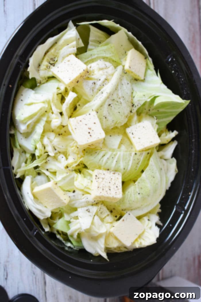 Hearty Slow Cooker Cabbage and Sausage 7 A vibrant close-up of slow cooker cabbage and sausage with potatoes in a bowl, showing the tender vegetables and savory meat.